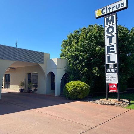 Citrus Motel Griffith Exterior foto